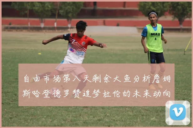 自由市场第八天剩余大鱼分析詹姆斯哈登德罗赞追梦杜伦的未来动向