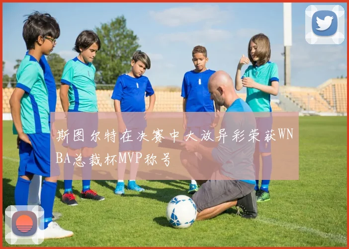 斯图尔特在决赛中大放异彩荣获WNBA总裁杯MVP称号